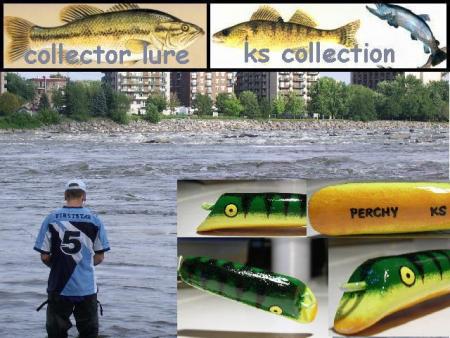 PERCHY KS COLLECTION